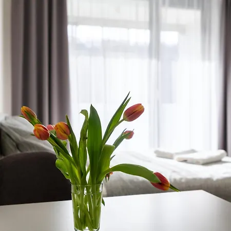 Apartament 12 Min Centrum, 200mb Wifi, Onsite Supermarket